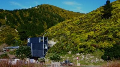 Cliffside Shipping Container Home in New Zealand
