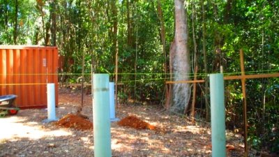 A Shipping Container Rainforest Research Center