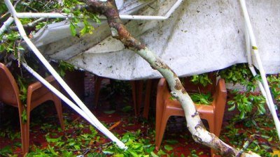 A Shipping Container Rainforest Research Center